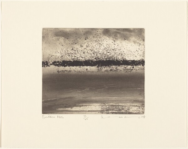 Buddon Ness