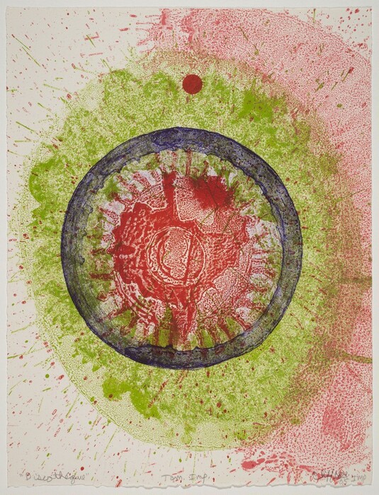 The image features an array of concentric circles with a bold, thick outline. It contains a burst of red and green colors within the circles. The central circle stands out, resembling either an eye or a fruit slice. The outer layer has a texture suggesting pulpy fruit flesh. Green and red speckles and splashes surround the central element, resembling seeds or droplets. A small red dot at the top of the composition adds balance to the circular structure.