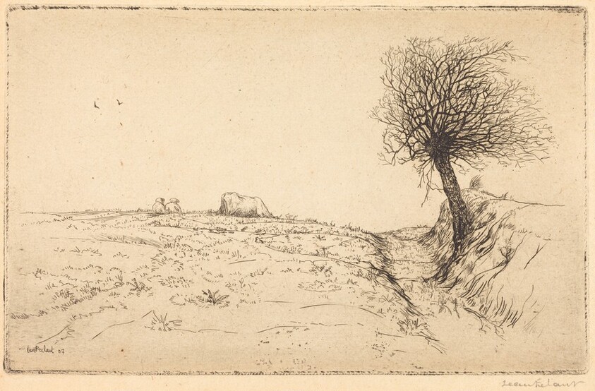 Tree in a Landscape
