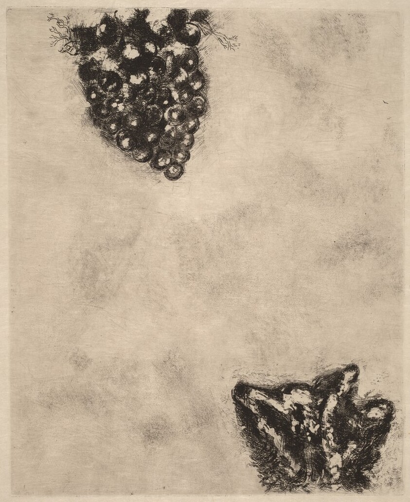 The Fox and the Grapes