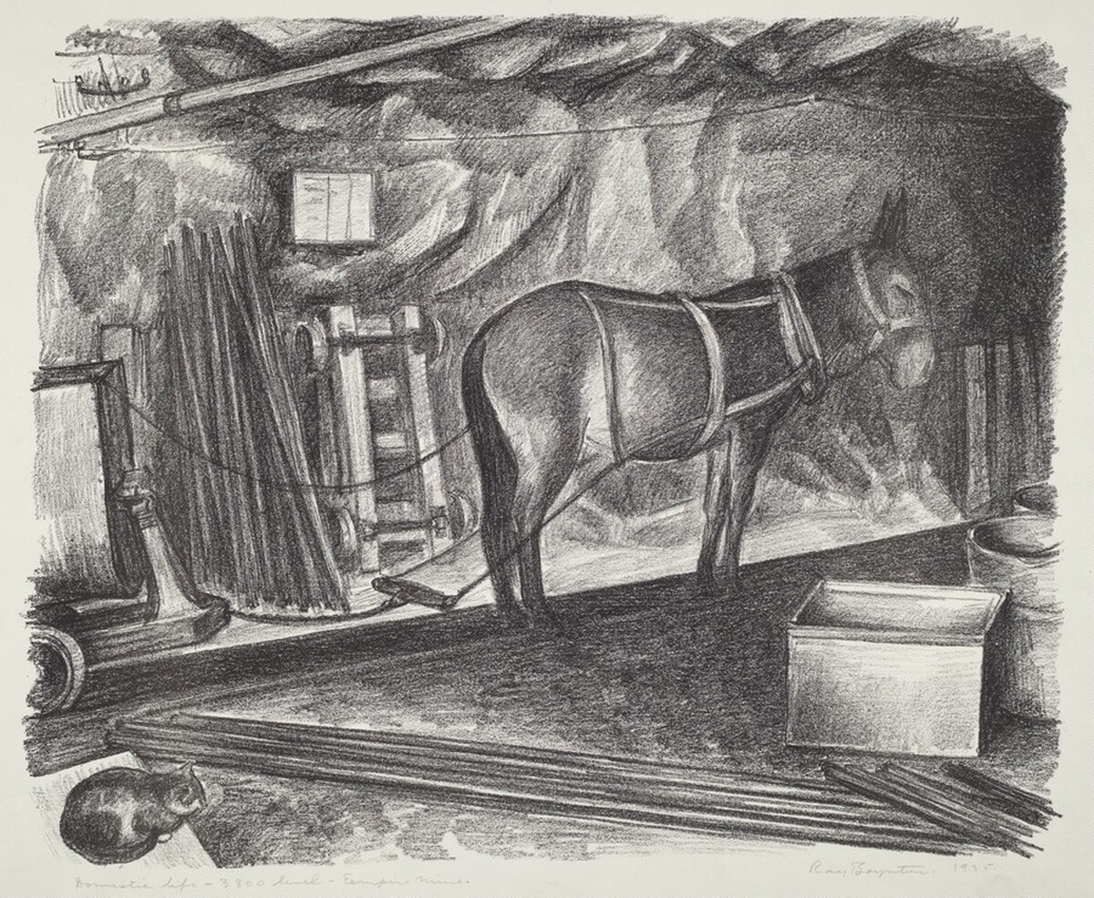 Domestic Life - 3800 Level - Empire Mine