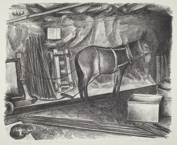 Domestic Life - 3800 Level - Empire Mine