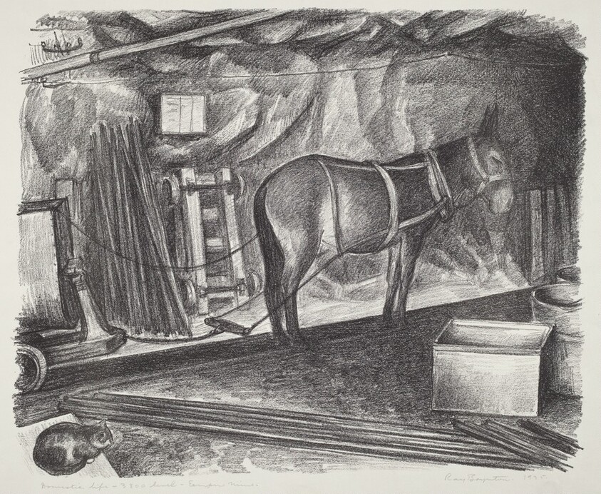 Domestic Life - 3800 Level - Empire Mine