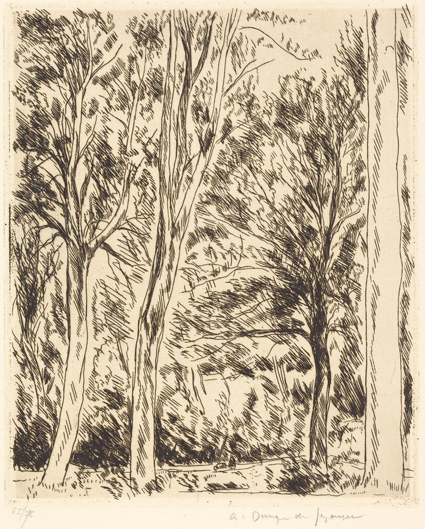 Forest at Chaville (Bois de Chaville)