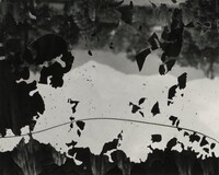 North Carolina 9, Aaron Siskind, 1951