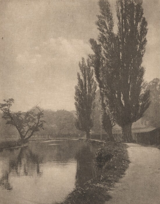 The image shows a riverside view with a pathway running parallel to a waterway. Tall trees on the right side obscure the horizon, and their reflections can be seen in the water on the left. In the distance, a low tree with sprawling branches leans over the water. The artwork features soft, delicate strokes creating a dreamy effect, and a monochromatic color palette of brown and gray, enhancing the tranquil quality of the landscape.