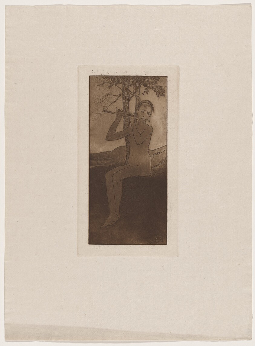 Le chant de la cigale