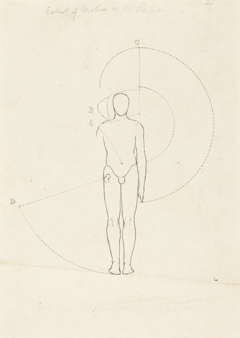 Extent of Motion, One Figure
