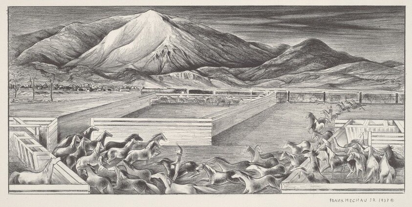 The Last of the Wild Horses