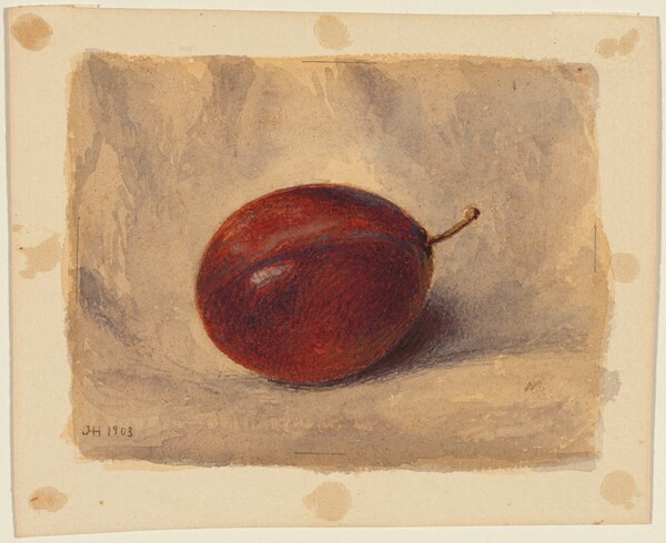 Plum