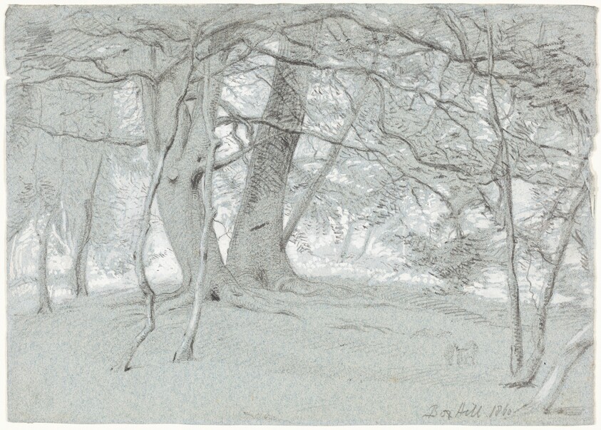 Trees at Box Hill