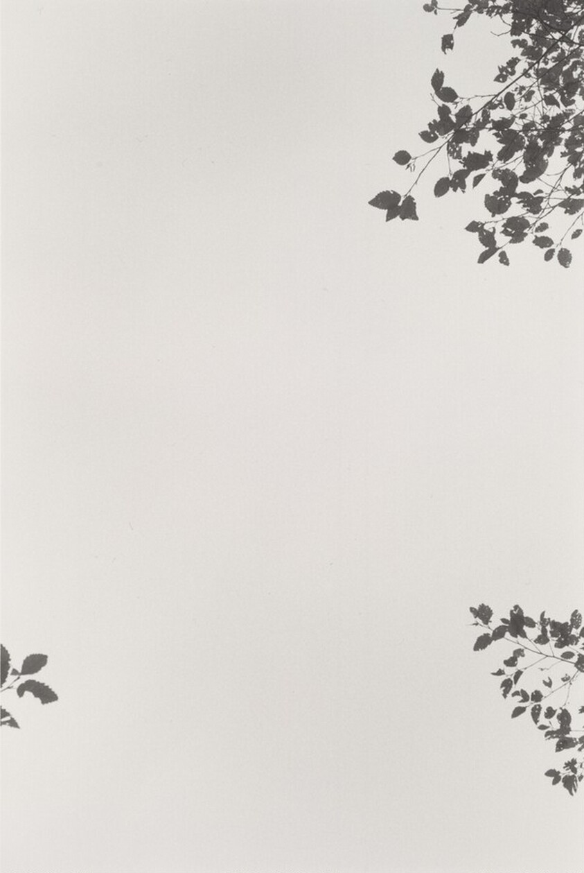 Neahkahnie Mountain, Oregon