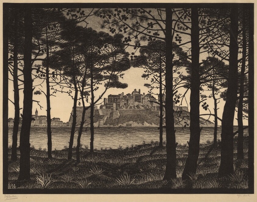 Pineta of Calvi, Corsica