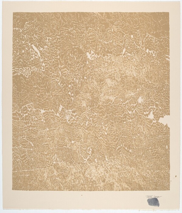 The image shows a complex network of wavy, undulating lines interwoven across the canvas in an abstract pattern. The lines create a texture similar to topographical maps or tree rings. The design could evoke aerial views of landscapes or textured fabrics, prompting viewers to draw connections to familiar sights within the abstract composition.
