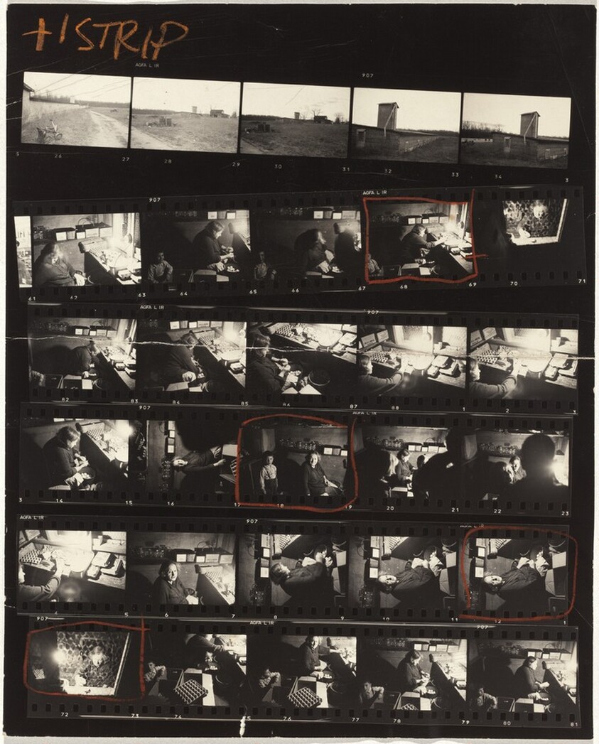 Segal farm no number