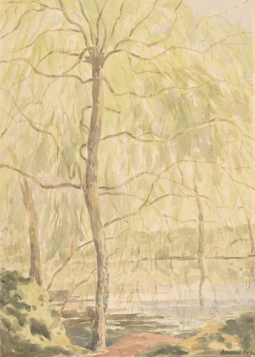 Willow and Pool in Spring