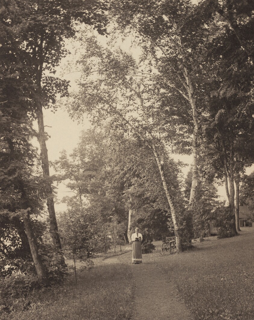 Hedwigspath, Oaklawn, Lake George