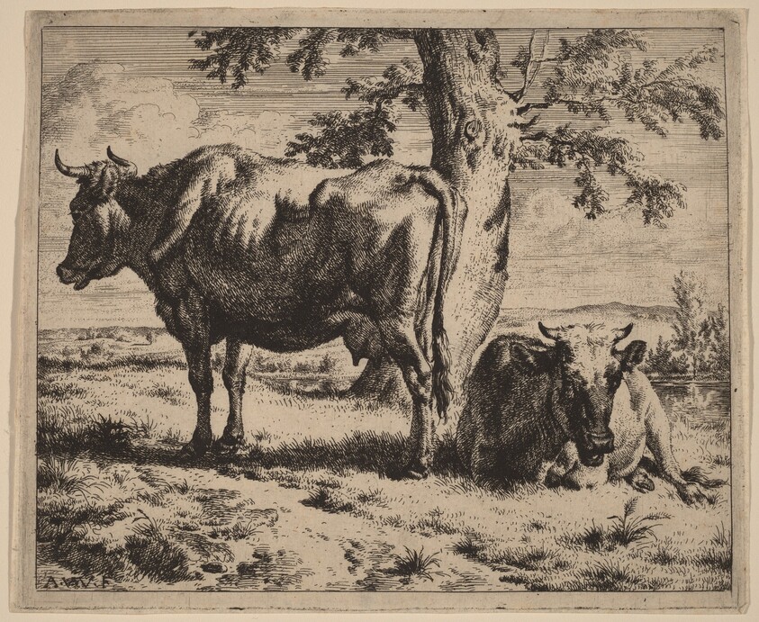 Two Cows under a Tree