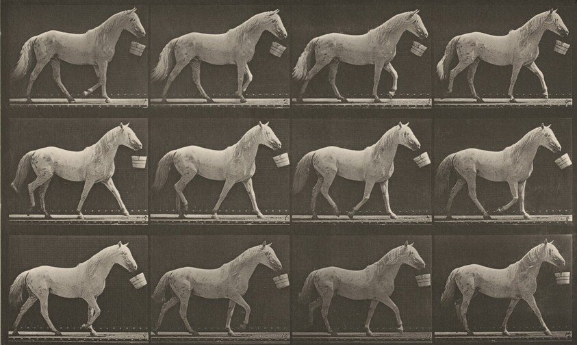 Plate Number 650. "Eagle" walking with a bucket in mouth