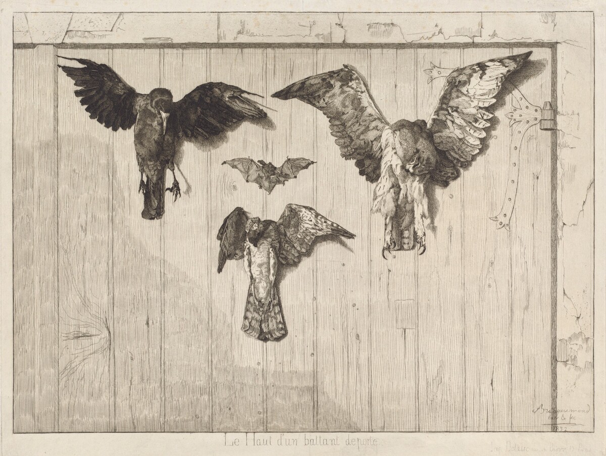 Le haut d'un battant de porte (Birds Nailed to a Barn Door)