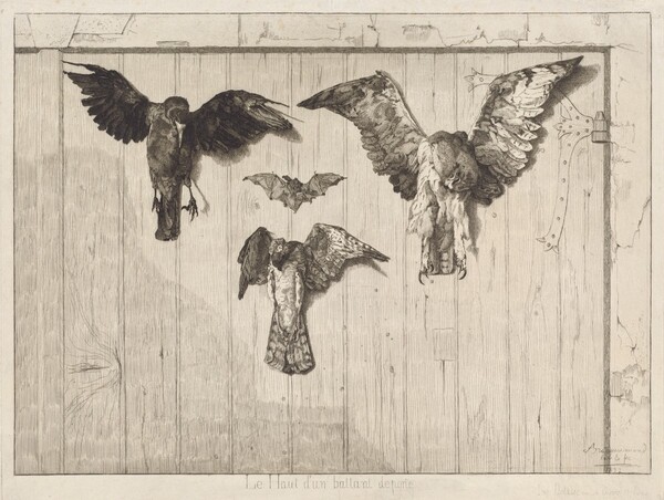 Le haut d'un battant de porte (Birds Nailed to a Barn Door)