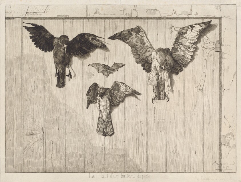 Le haut d'un battant de porte (Birds Nailed to a Barn Door)