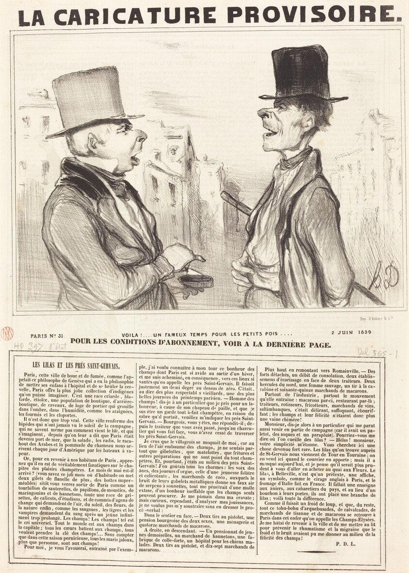 Voila!... un fameux temps pour les petits pois...