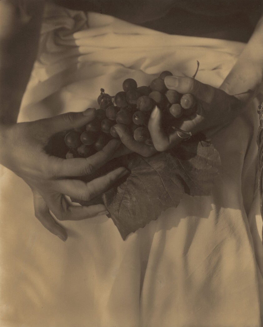 Georgia O'Keeffe—Hands and Grapes