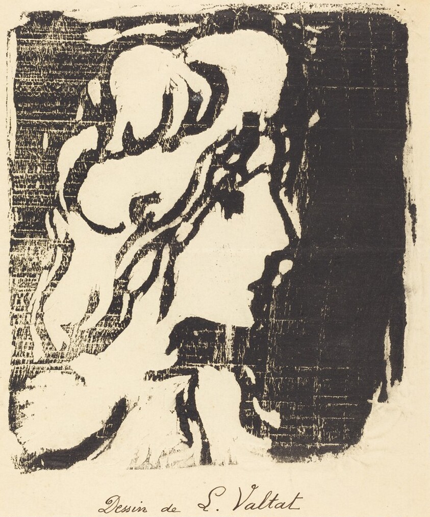 A Young Woman with Long Hair