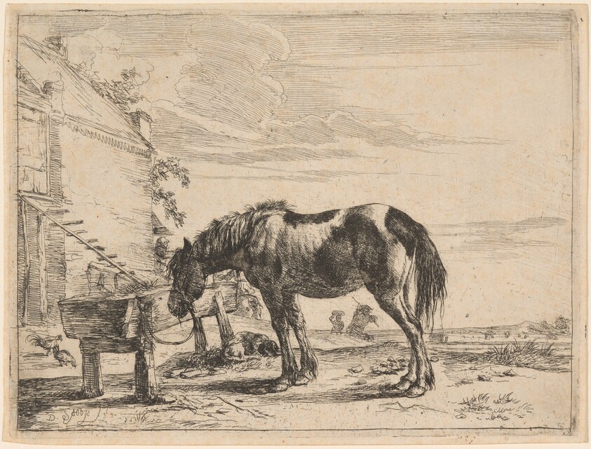 A Horse Bound to a Feeding Trough