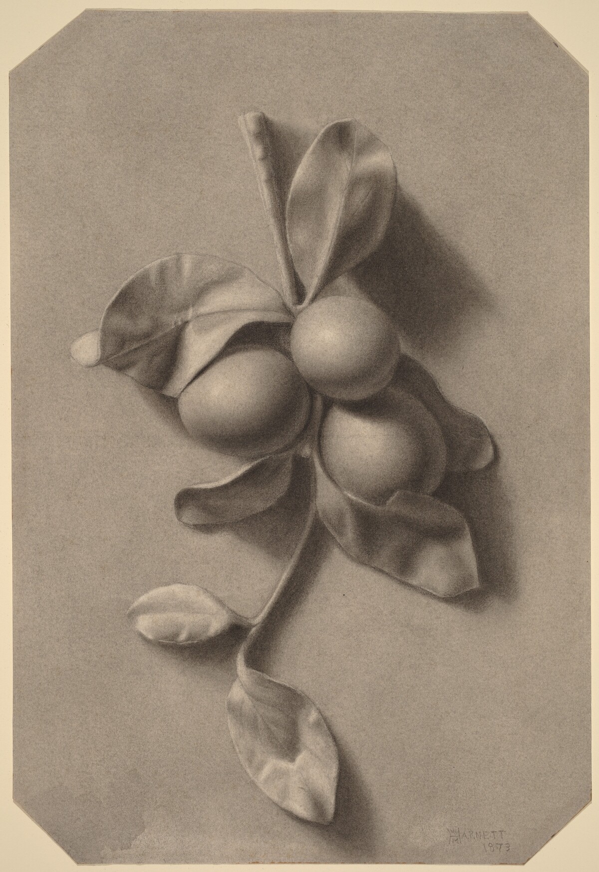 A Sprig of Plums