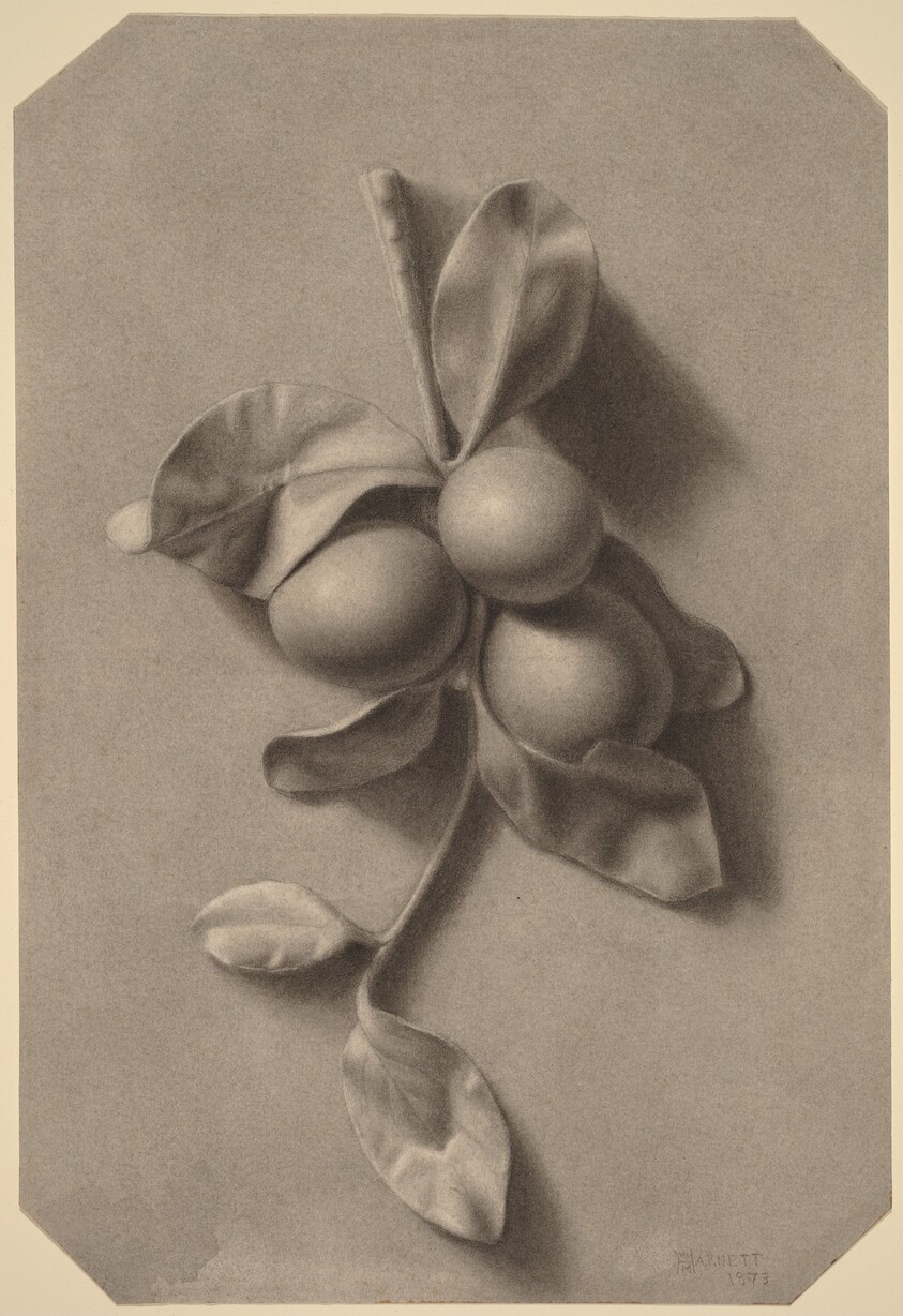A Sprig of Plums