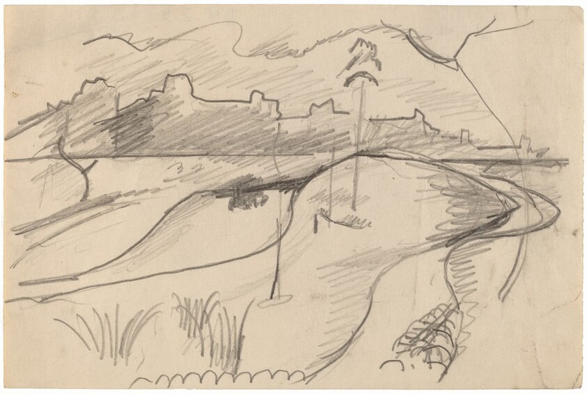 Grassy Peninsula with City Seen Across River