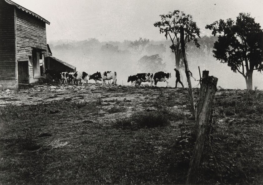 New England Countryside
