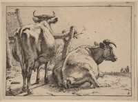 Two Cows Seen from Behind, Paulus Potter, 1650
