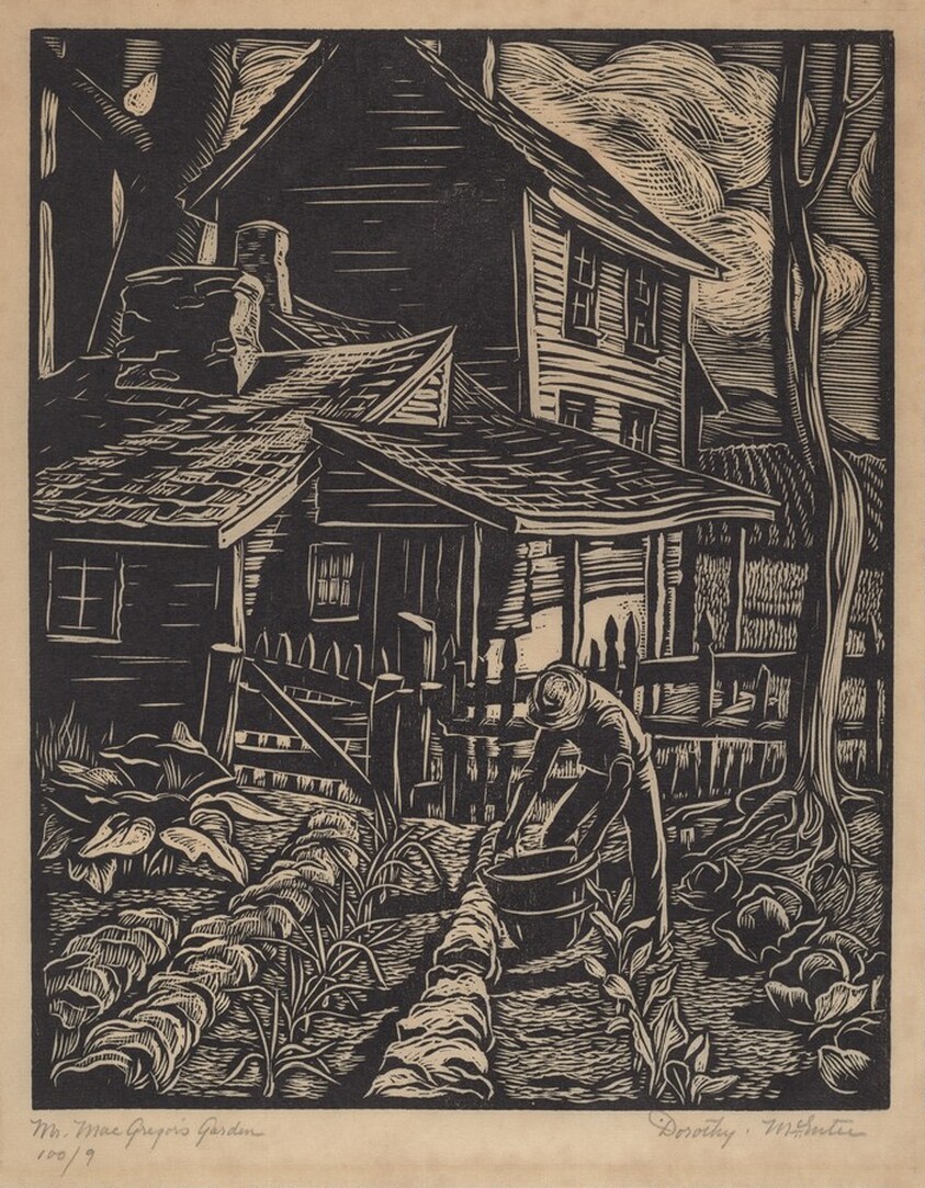 Mr. MacGregor's Garden