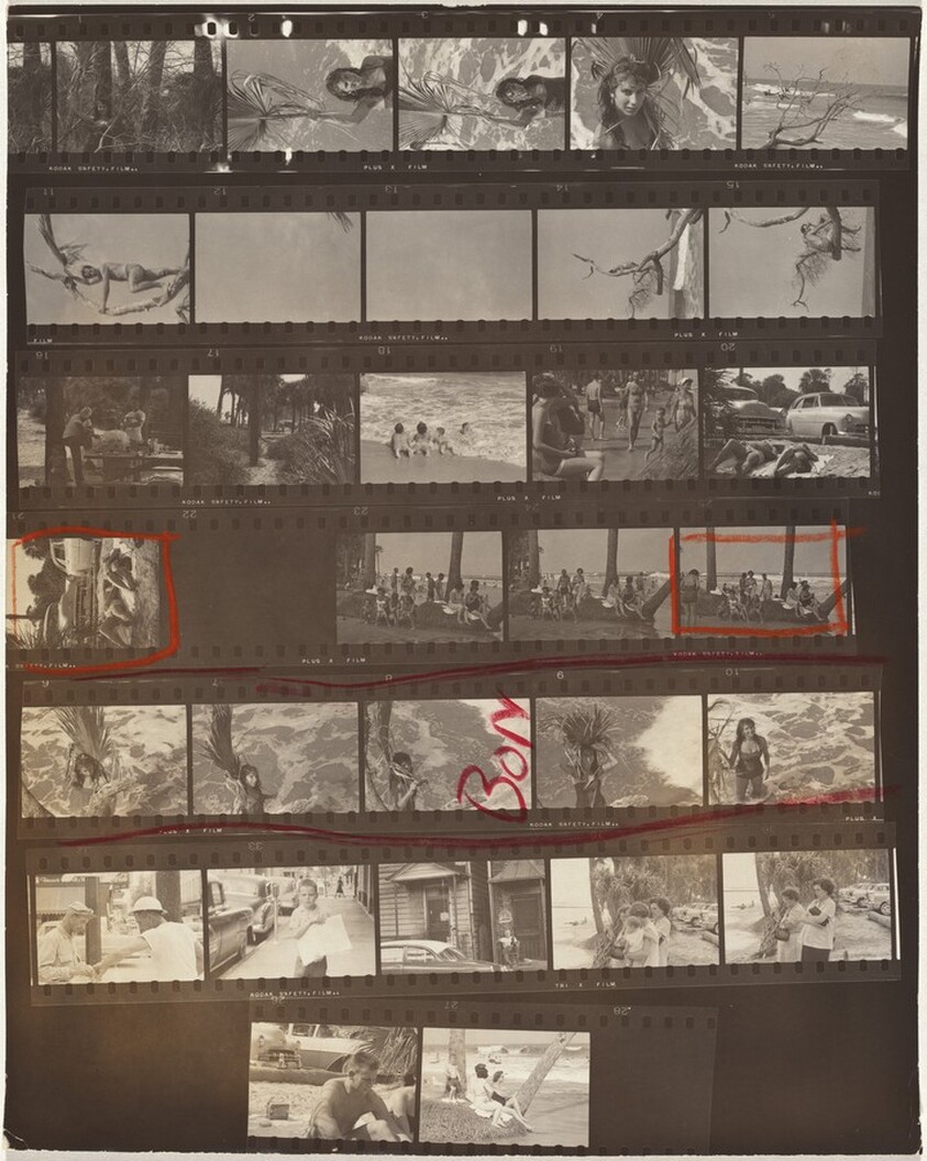 Guggenheim 20--Beaufort, South Carolina