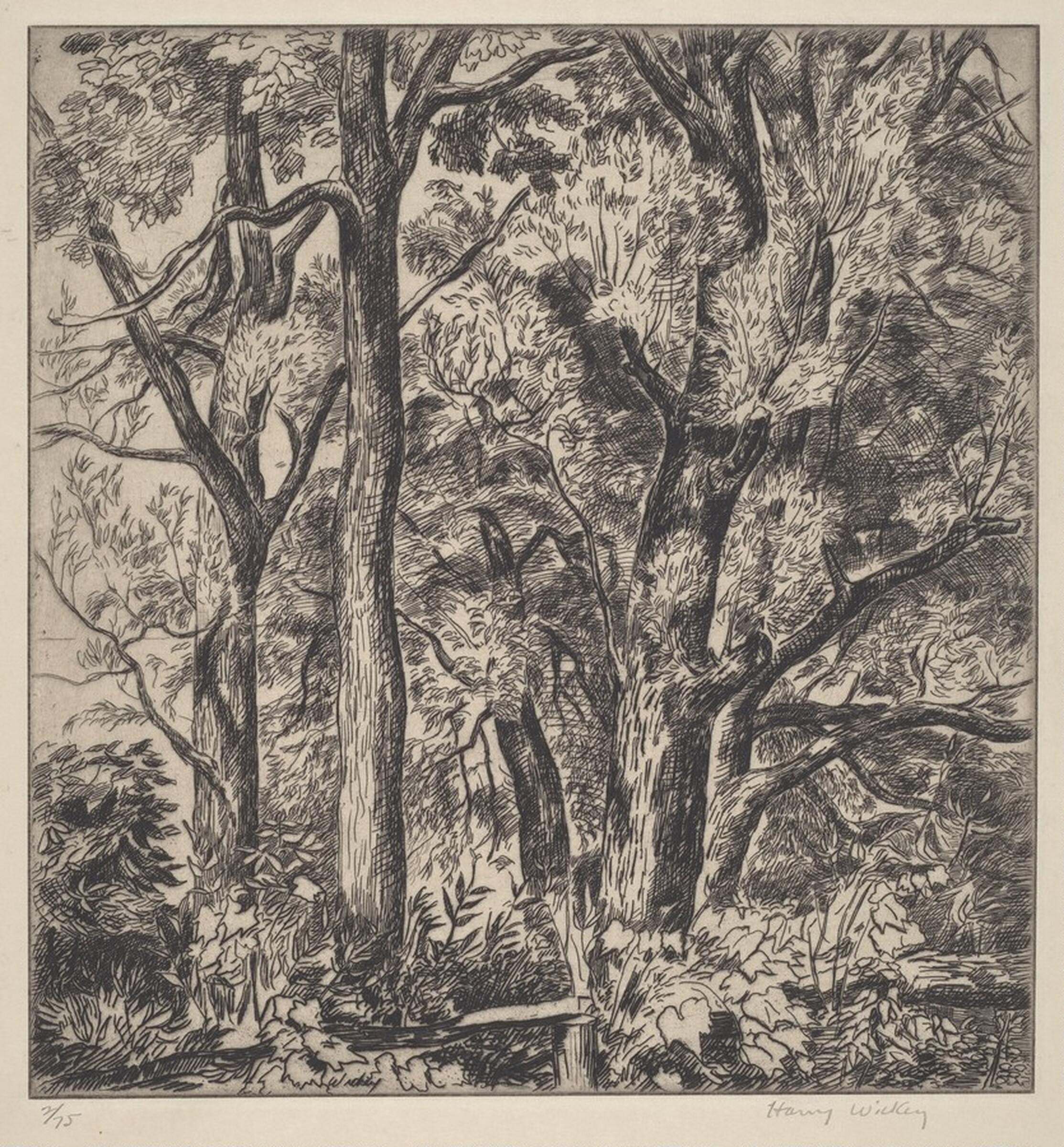 Woods Scene, Harry Newman Wickey