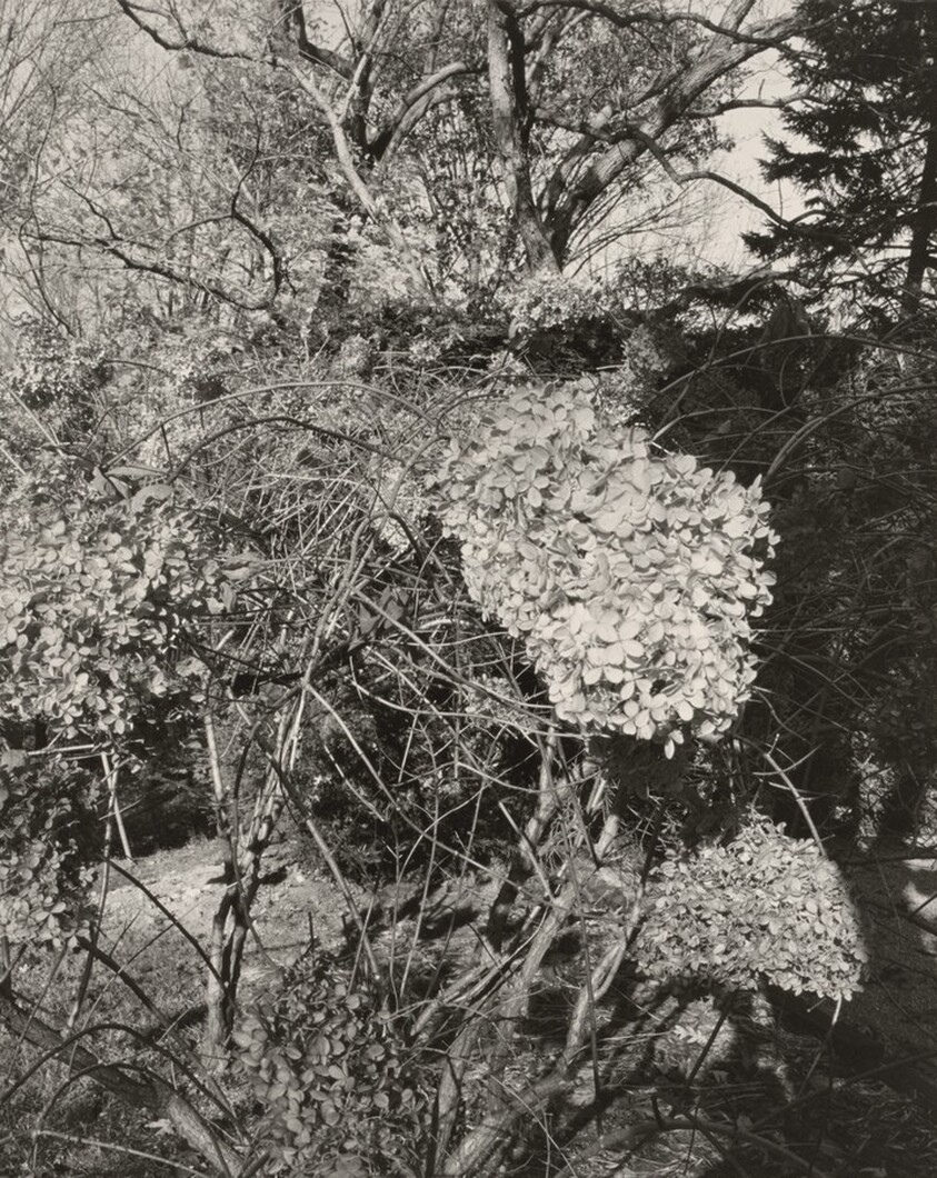 Long Island, New York