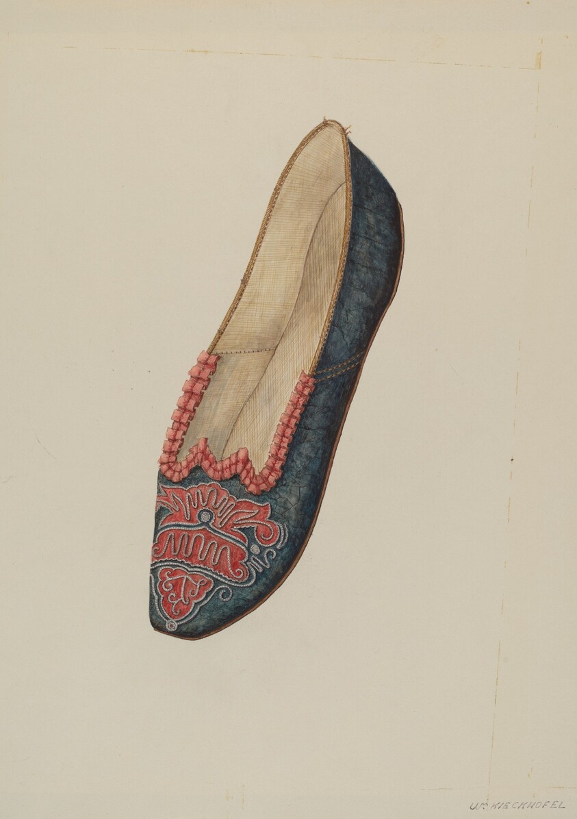 Evening Slipper