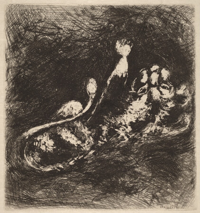 The Lion and the Gnat