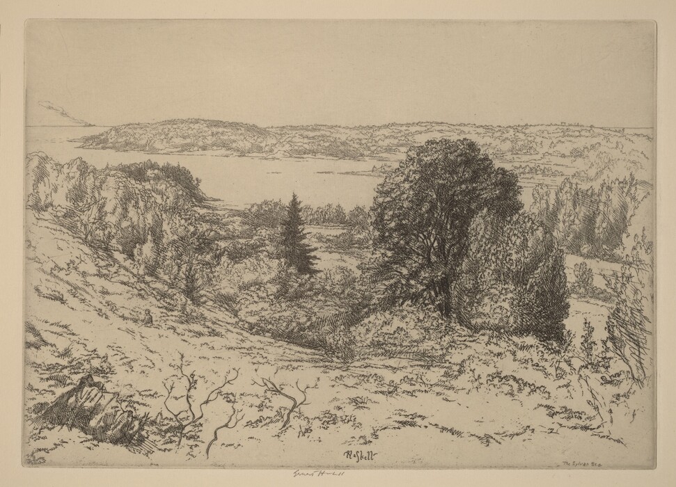 The image is a landscape viewed from an elevated perspective, looking out across a valley towards a body of water which creates a natural horizon line in the composition. The horizon is well-placed in the upper third, giving emphasis to the land in the distance, dotted with trees and hills. The artwork appears to be an etching, characterized by detailed and fine lines that build up texture and depth. The color palette is monochromatic, relying on shades of black and grey. Closest to us, the landscape features undulating terrain with sparse plant life, which gradually leads the eye to more densely wooded areas beyond. In the distance, the outline of a hilly landmass can be seen, emerging from the other side of the water.