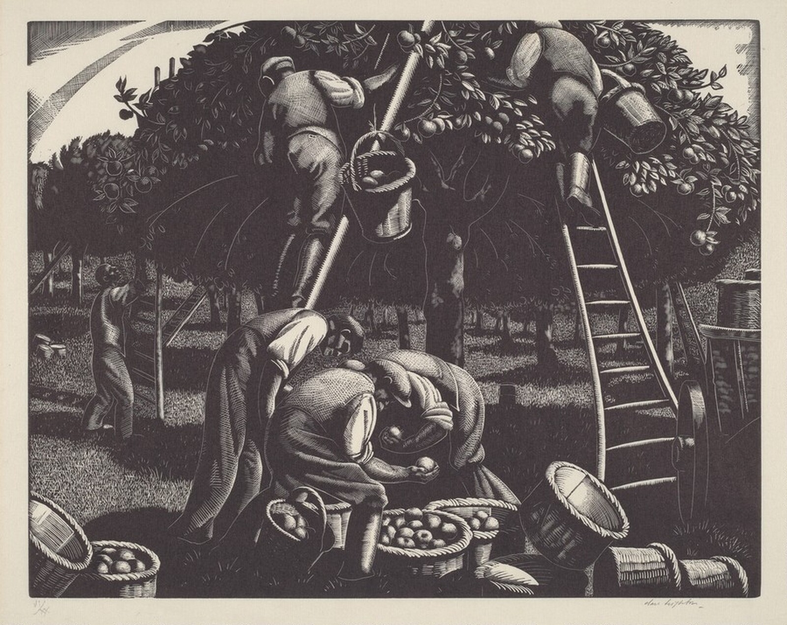 Apple Picking, Clare Leighton, 1932