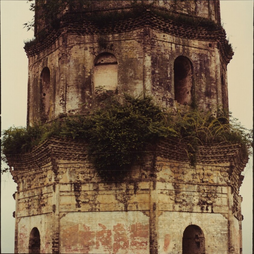 Study for Chinese Summerhall