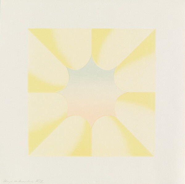 Through the Flower Twice