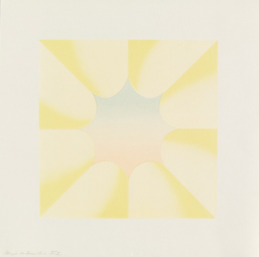 Through the Flower Twice