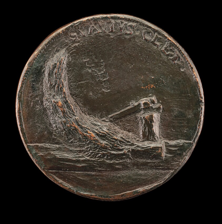 Felled Cypress Tree [reverse]