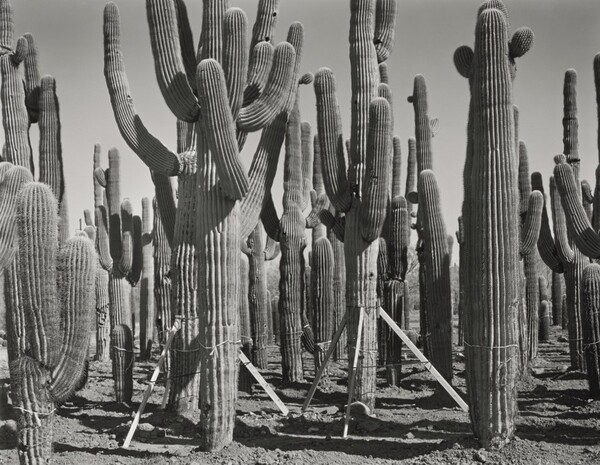 Phoenix, I-17 and Carefree Highway, Prisoners of the Subdivision Wars