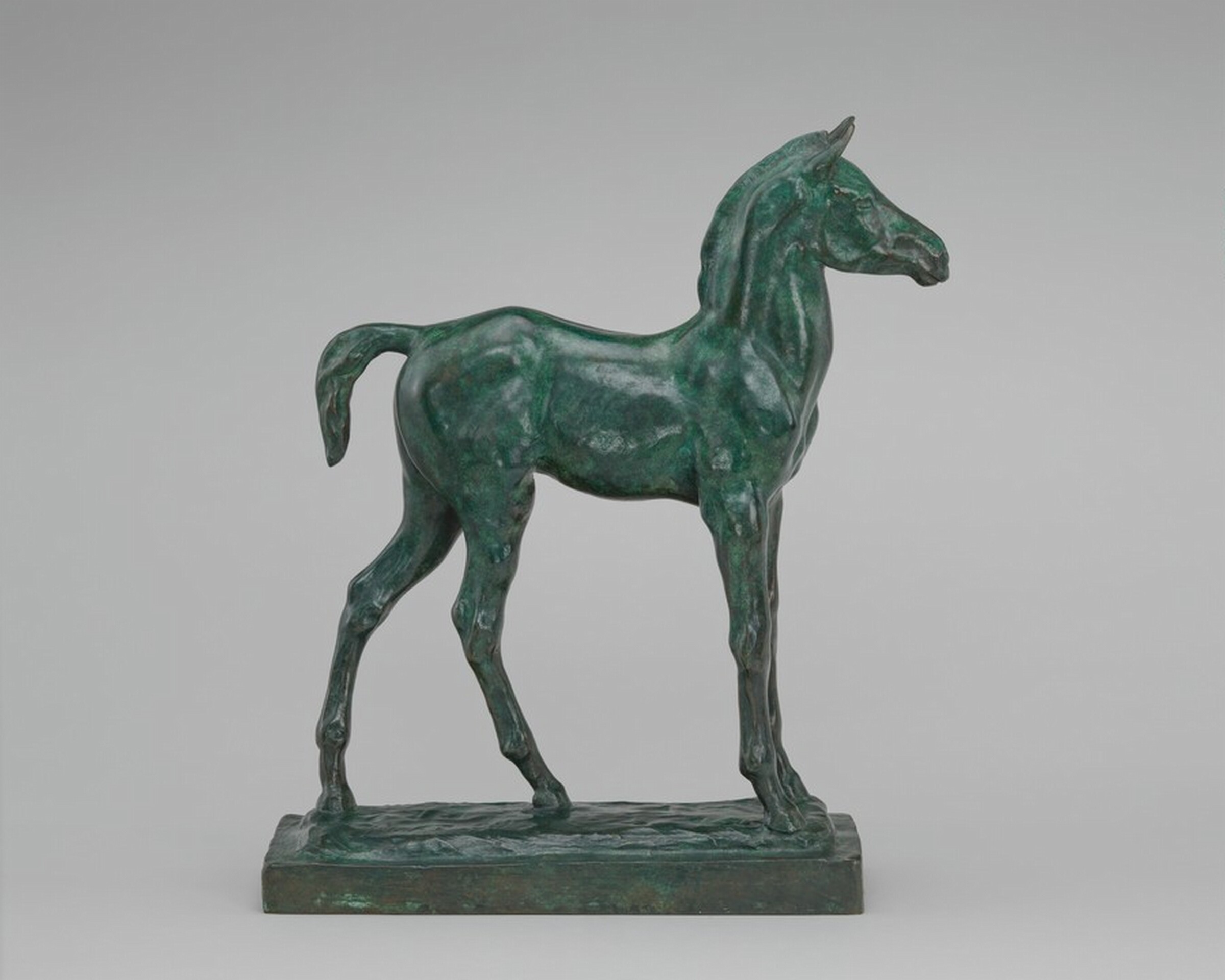 Colt, Six Months, Anna Hyatt Huntington, n.d.
