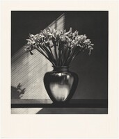 Irises, Robert Mapplethorpe, 1987